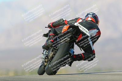 media/Jan-13-2024-SoCal Trackdays (Sat) [[9c032fe5aa]]/Turn 9 Backside (110pm)/